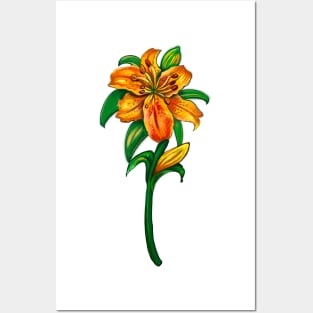 Flowers of spring Lily Lilly flower painting 2 -  orange tiger lily with green leaves and stem Botanical Garden Gardener Gardening Lillies Posters and Art
